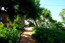 Deluxe Garden View